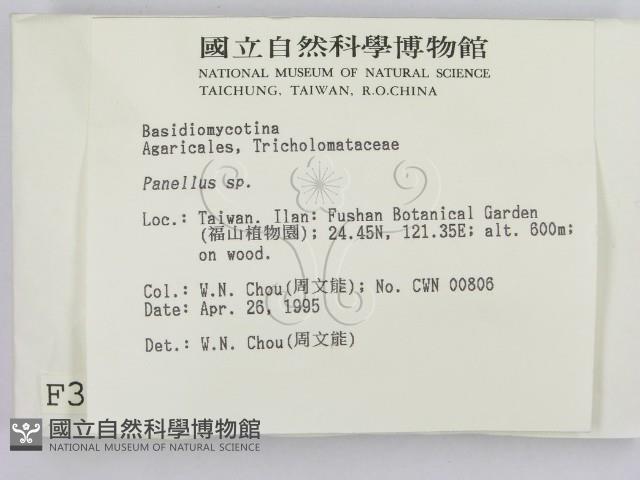 登錄號:F0003256藏品圖，第2張