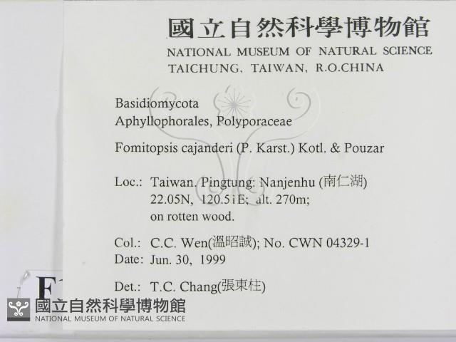 登錄號:F0013256藏品圖，第2張