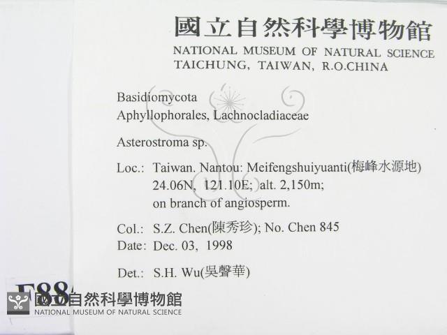 登錄號:F0008856藏品圖，第2張