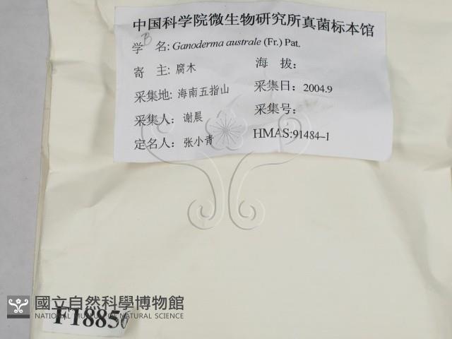 登錄號:F0018856藏品圖，第2張