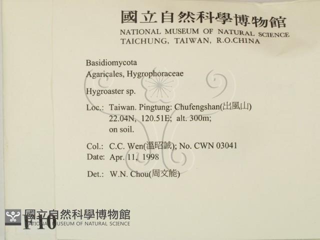 登錄號:F0010856藏品圖，第2張