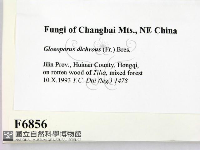 登錄號:F0006856藏品圖，第2張