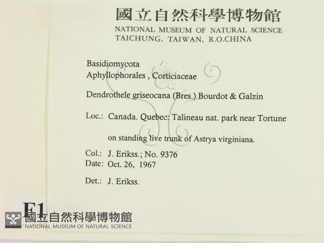登錄號:F0016856藏品圖，第2張