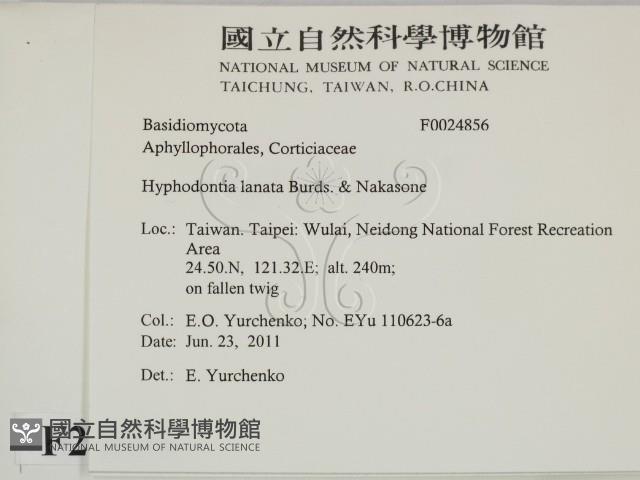登錄號:F0024856藏品圖，第2張