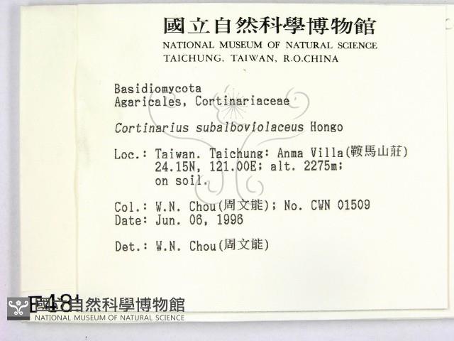 登錄號:F0004856藏品圖，第2張