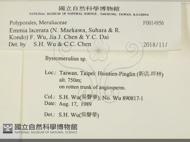 登錄號:F0014856藏品圖，第2張