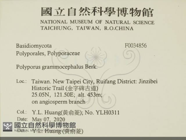 登錄號:F0034856藏品圖，第2張