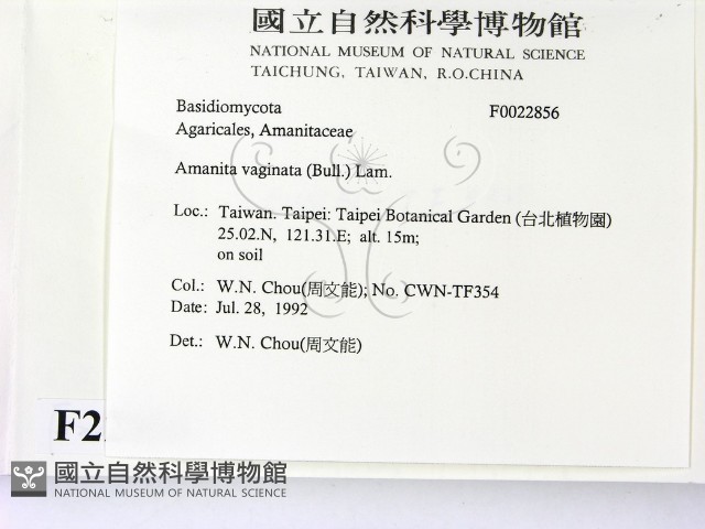 登錄號:F0022856藏品圖，第2張
