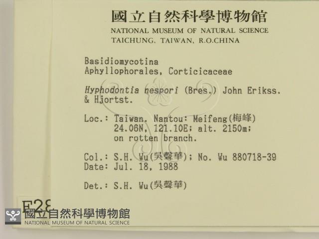 登錄號:F0002856藏品圖，第2張