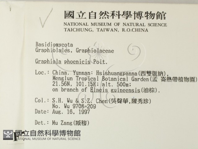 登錄號:F0007856藏品圖，第2張