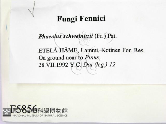 登錄號:F0005856藏品圖，第2張