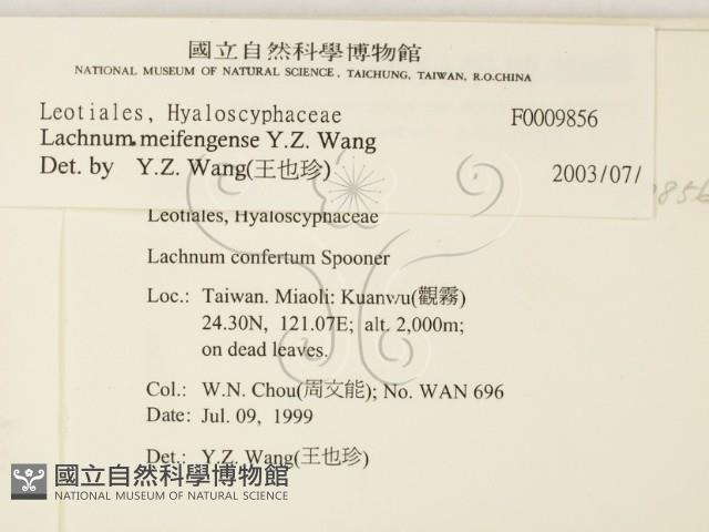 登錄號:F0009856藏品圖，第2張