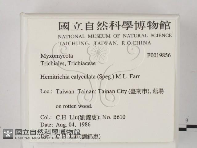 館號:F0019856藏品圖，第2張
