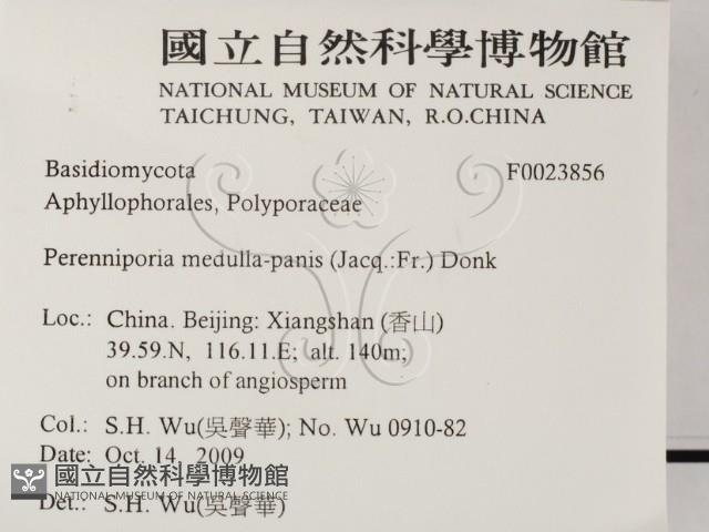 登錄號:F0023856藏品圖，第2張