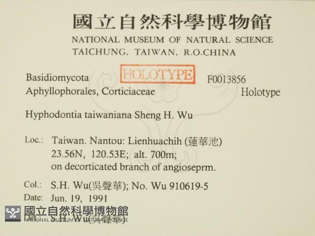 登錄號:F0013856藏品圖，第2張