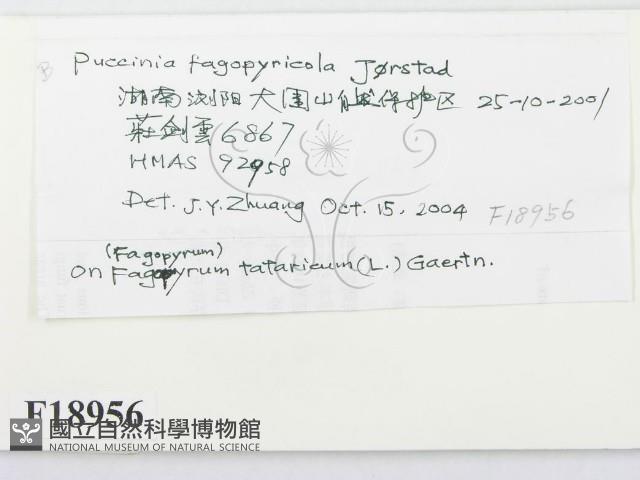 登錄號:F0018956藏品圖，第2張