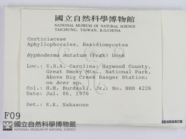 登錄號:F0000956藏品圖，第2張