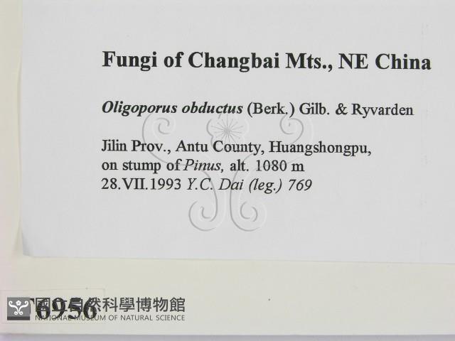 登錄號:F0006956藏品圖，第2張