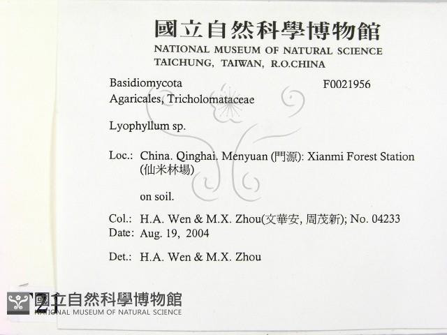 登錄號:F0021956藏品圖，第2張