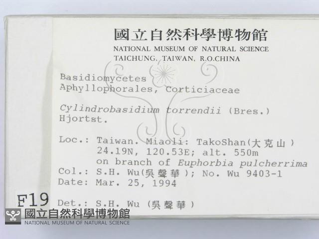 登錄號:F0001956藏品圖，第2張