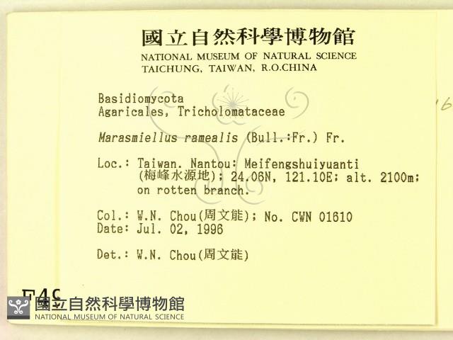 登錄號:F0004956藏品圖，第2張