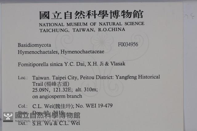 登錄號:F0034956藏品圖，第2張