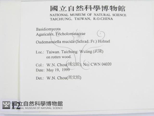 登錄號:F0012956藏品圖，第2張