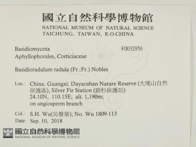 登錄號:F0032956藏品圖，第2張