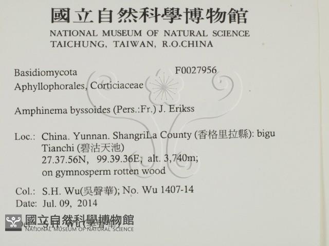 登錄號:F0027956藏品圖，第2張