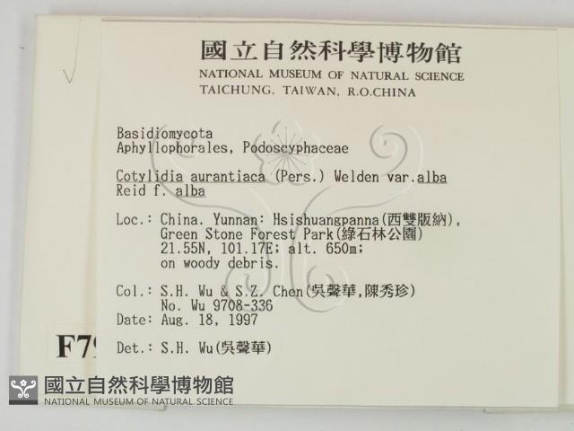 登錄號:F0007956藏品圖，第2張
