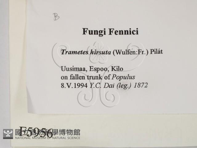 登錄號:F0005956藏品圖，第2張