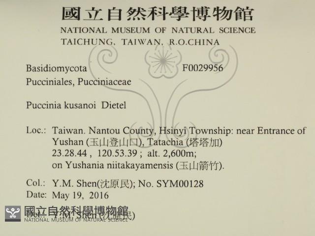 登錄號:F0029956藏品圖，第2張