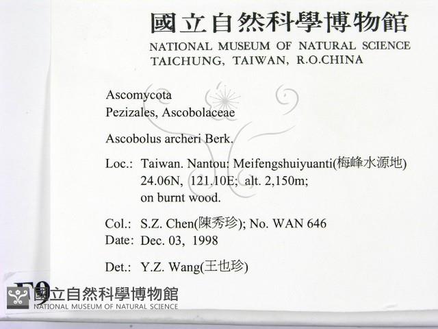 登錄號:F0009956藏品圖，第2張