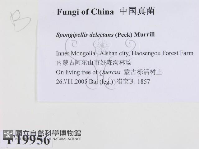 登錄號:F0019956藏品圖，第2張