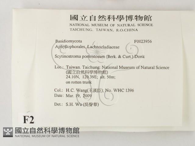 登錄號:F0023956藏品圖，第2張