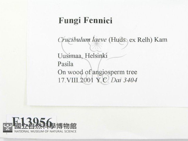 登錄號:F0013956藏品圖，第2張