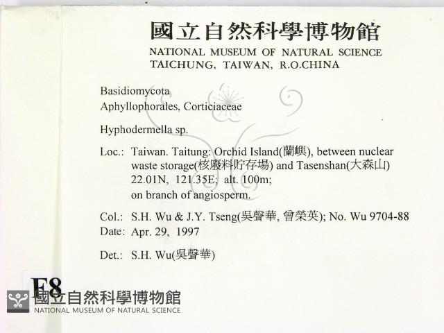 登錄號:F0008656藏品圖，第2張