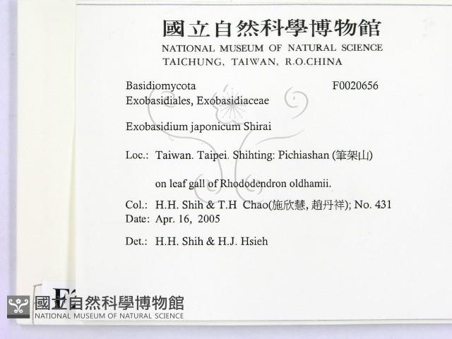 登錄號:F0020656藏品圖，第2張
