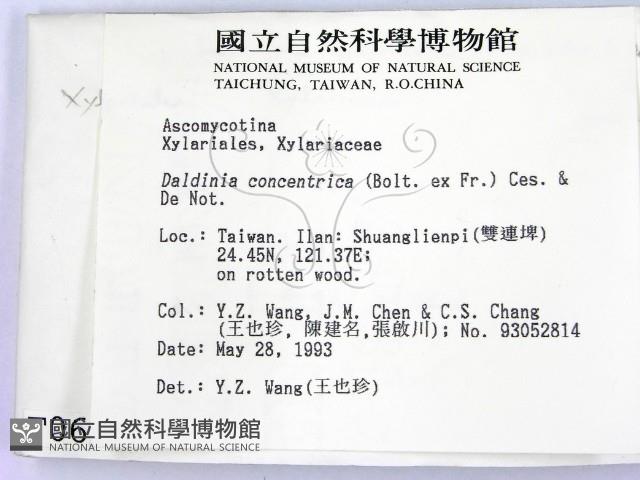 登錄號:F0000656藏品圖，第2張