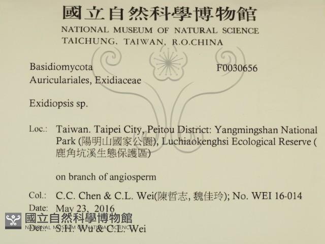 登錄號:F0030656藏品圖，第2張