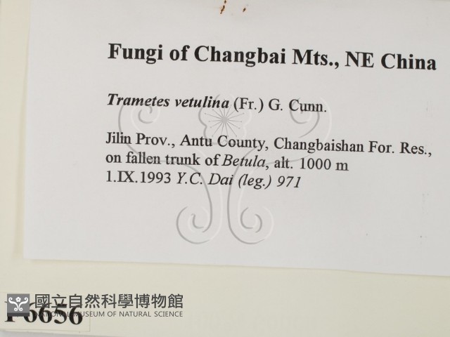 登錄號:F0006656藏品圖，第2張