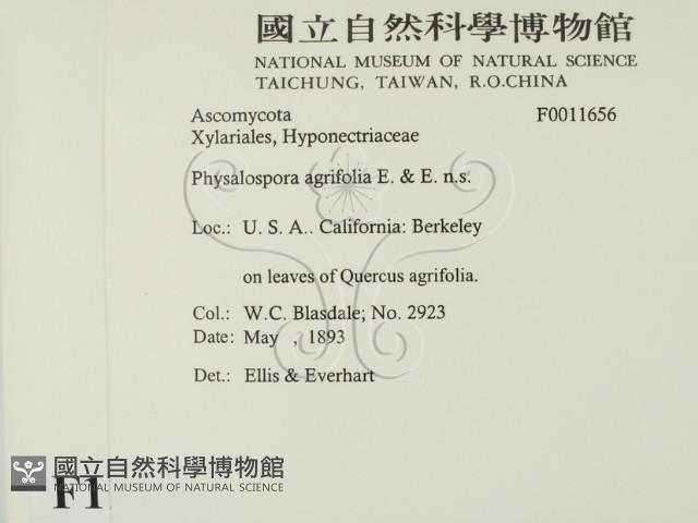 登錄號:F0011656藏品圖，第2張