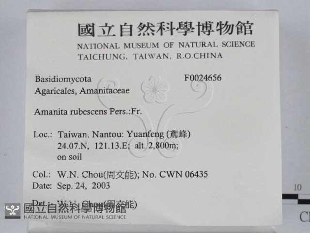 登錄號:F0024656藏品圖，第2張