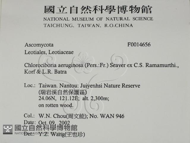 登錄號:F0014656藏品圖，第2張