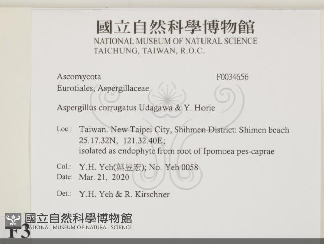 登錄號:F0034656藏品圖，第2張