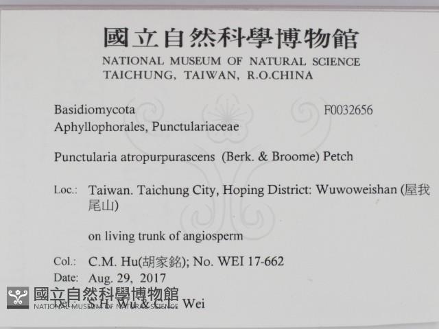 登錄號:F0032656藏品圖，第2張