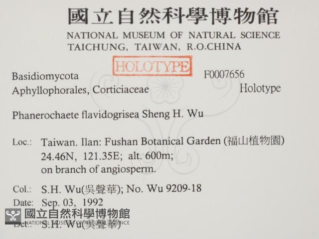 登錄號:F0007656藏品圖，第2張