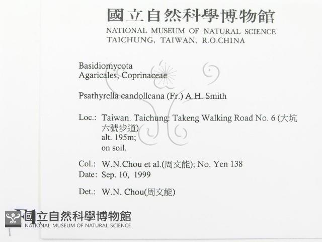 登錄號:F0015656藏品圖，第2張