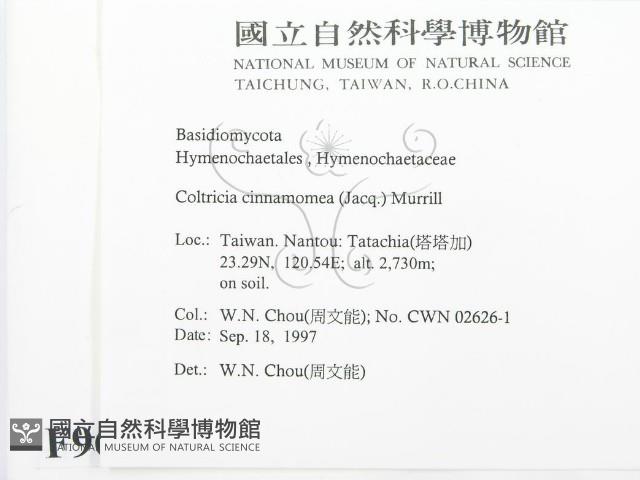 登錄號:F0009656藏品圖，第2張