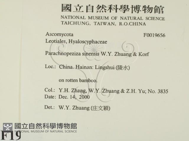 登錄號:F0019656藏品圖，第2張